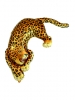 SAVAGE LEOPARD