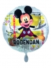 DISNEY MICKEYS BIRTHDAY IS FUNTIME!-HRV